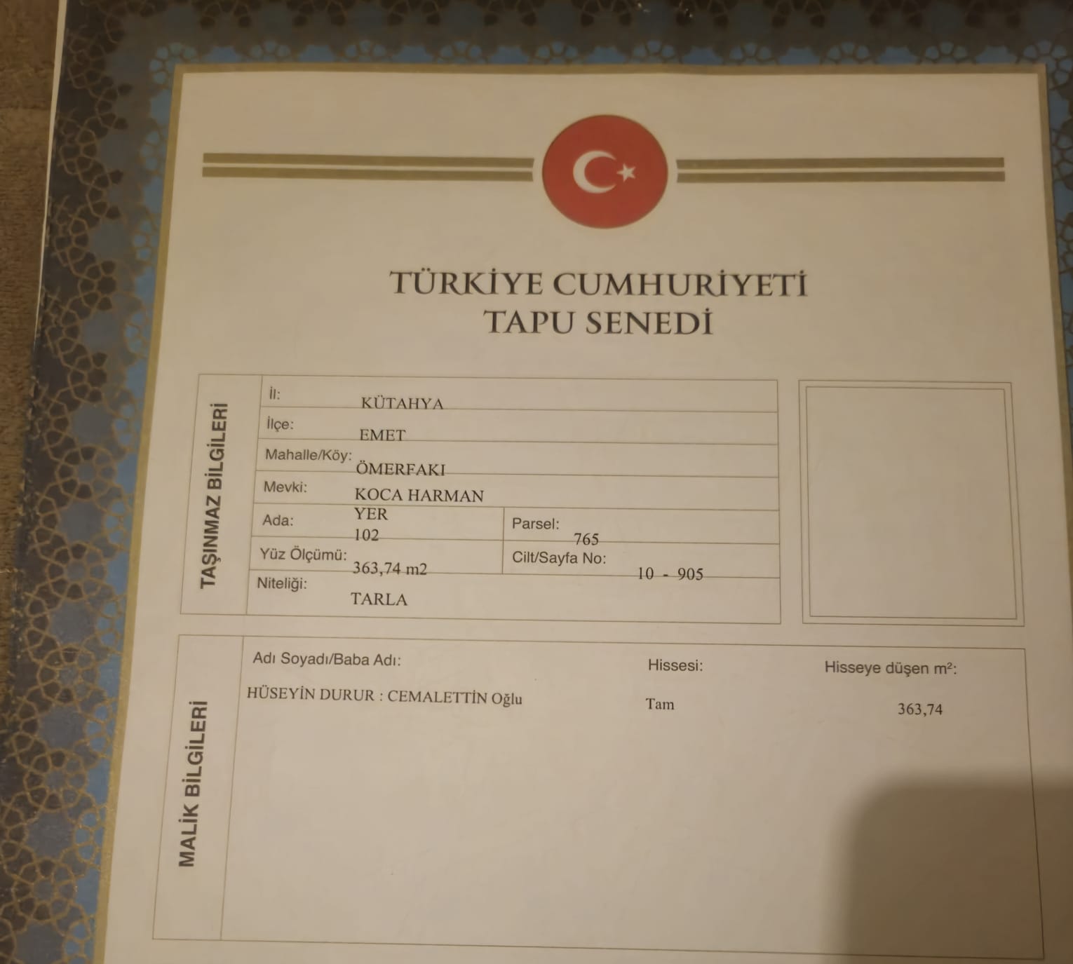 Fotoğraf